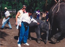 Baby Thai elephant with Pat Ross